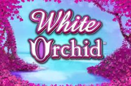fehér orchidea logo